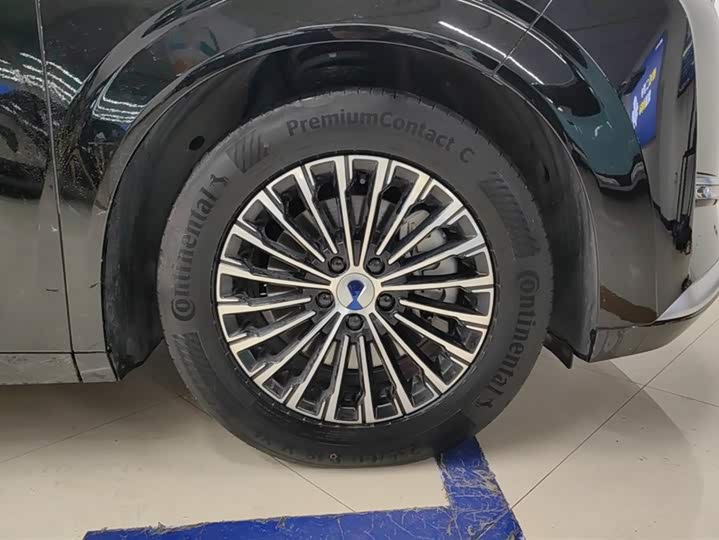 Фото 6 - Denza D9