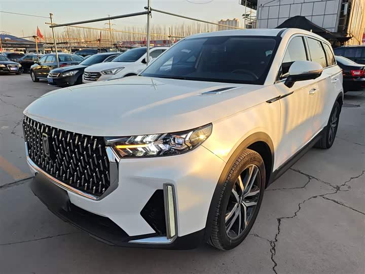 Фото 1 - Bestune T99