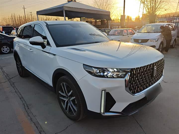 Фото 4 - Bestune T99