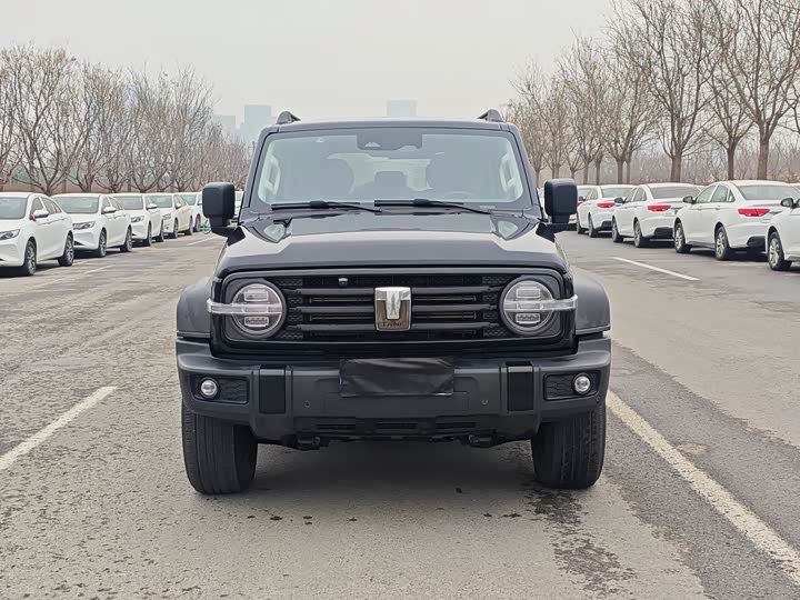 Фото 2 - Tank 300