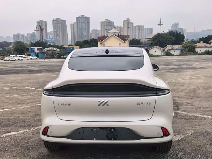 Фото 4 - IM motors LS6