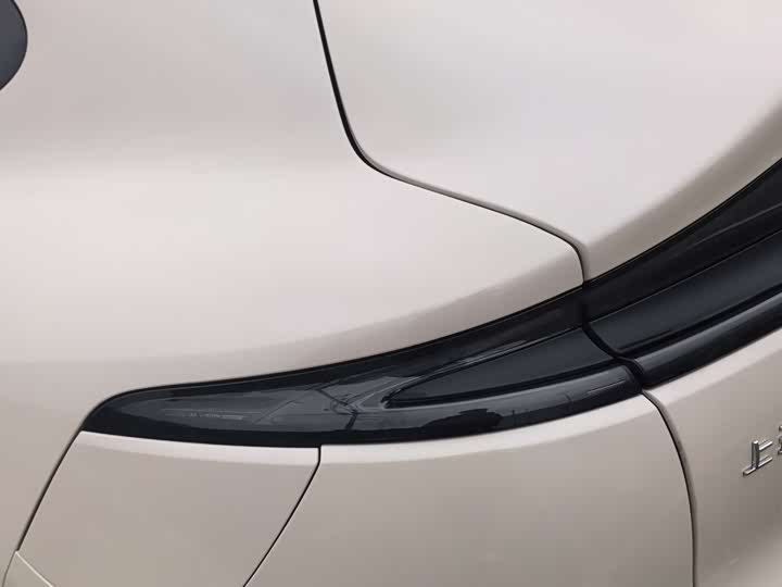 Фото 6 - IM motors LS6