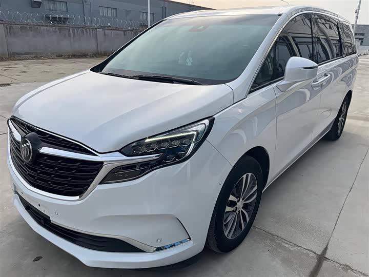 Фото 1 - Buick GL8 ES