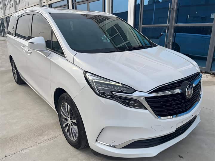 Фото 5 - Buick GL8 ES