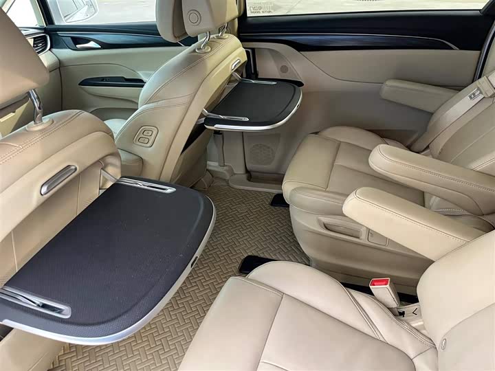 Фото 8 - Buick GL8 ES