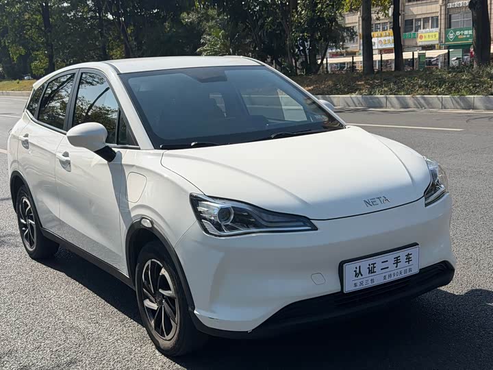 Фото 3 - Hozon V