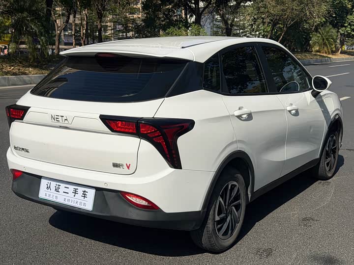 Фото 8 - Hozon V