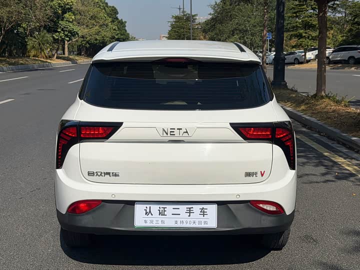 Фото 9 - Hozon V