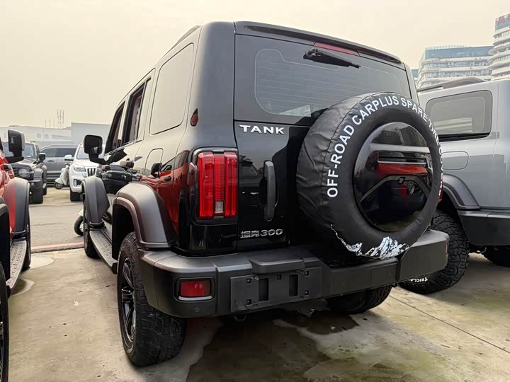 Фото 4 - Tank 300