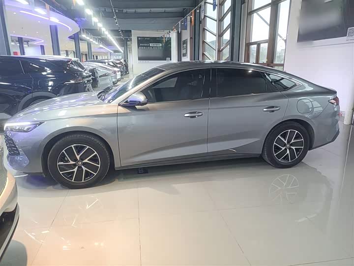 Фото 5 - BYD Qin L