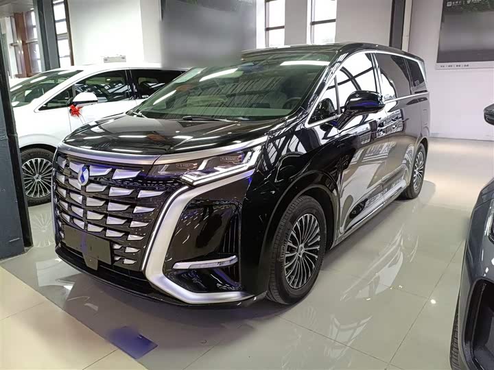 Фото 1 - Denza D9