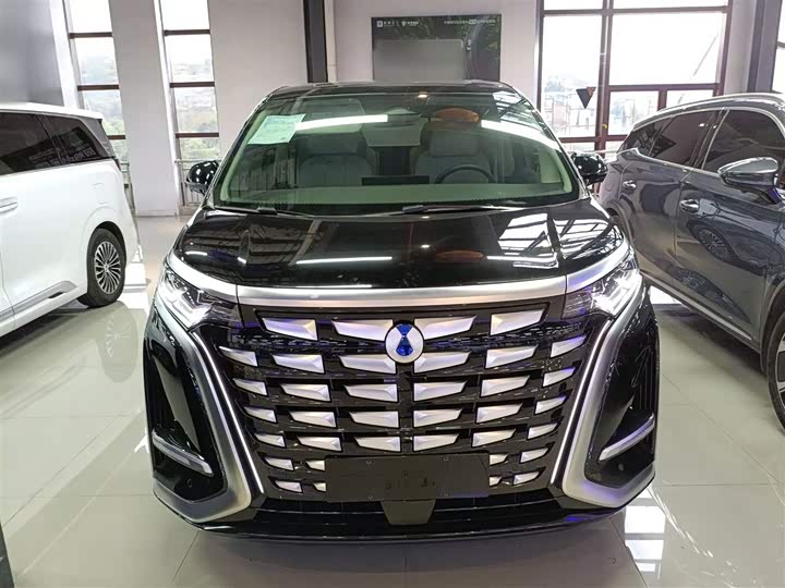 Фото 3 - Denza D9