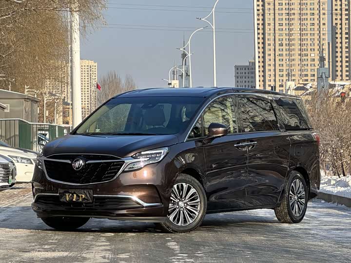 Фото 1 - Buick GL8 ES