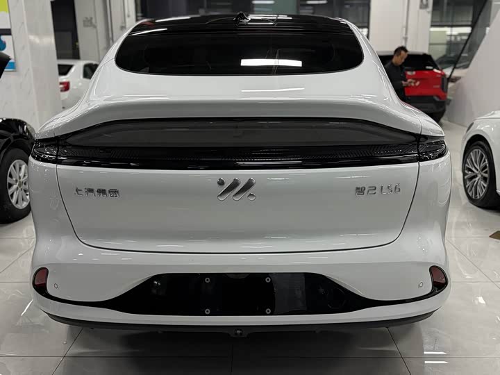 Фото 8 - IM motors LS6