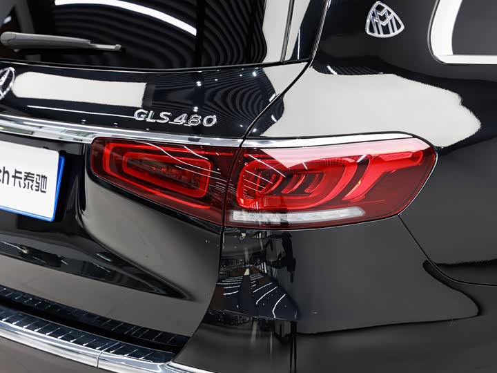 Фото 9 - Mercedes-Benz Maybach GLS