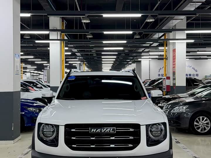 Фото 2 - Haval Dargo