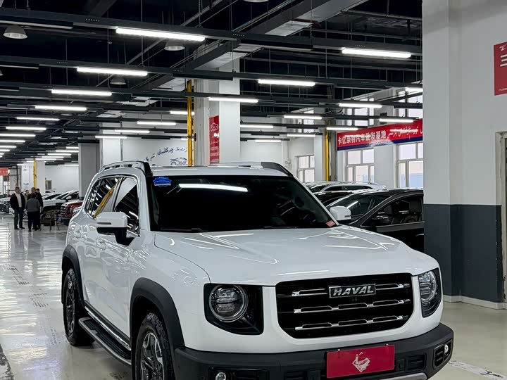 Фото 3 - Haval Dargo
