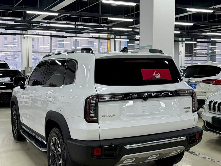 Фото 7 - Haval Dargo