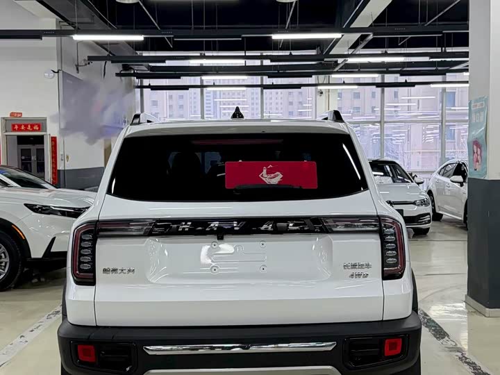 Фото 8 - Haval Dargo