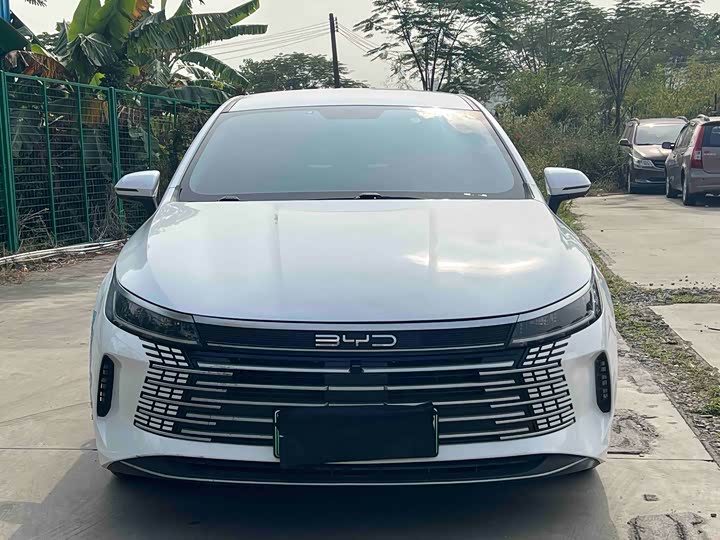 Фото 2 - BYD Destroyer 05