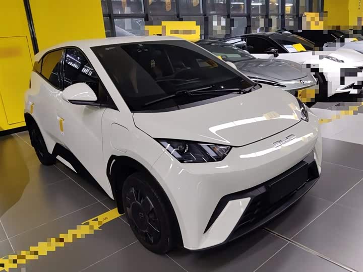 Фото 4 - BYD Seagull