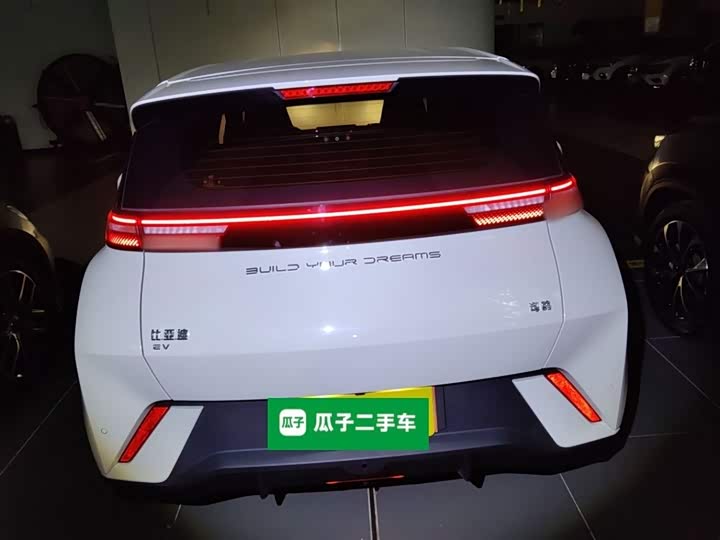 Фото 6 - BYD Seagull