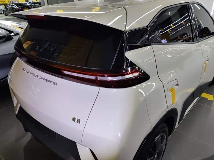 Фото 8 - BYD Seagull