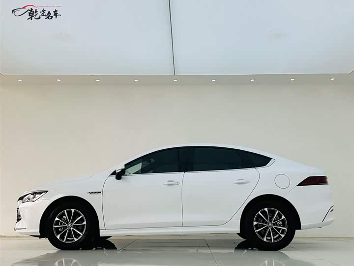 Фото 4 - BYD Qin Plus