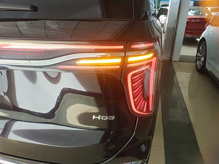 Фото 8 - Hongqi HQ9