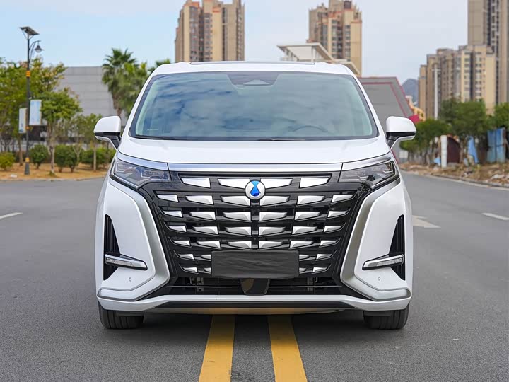 Фото 2 - Denza D9