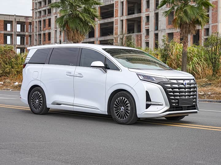 Фото 3 - Denza D9