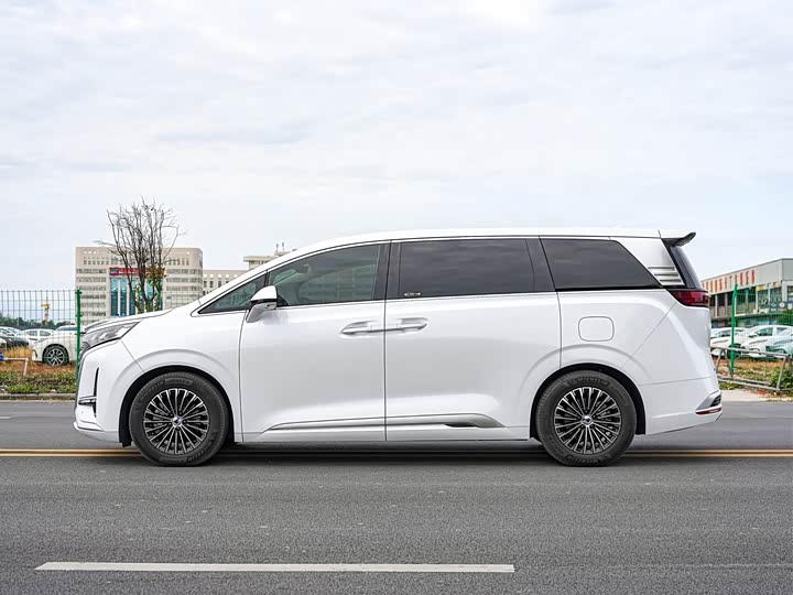 Фото 4 - Denza D9