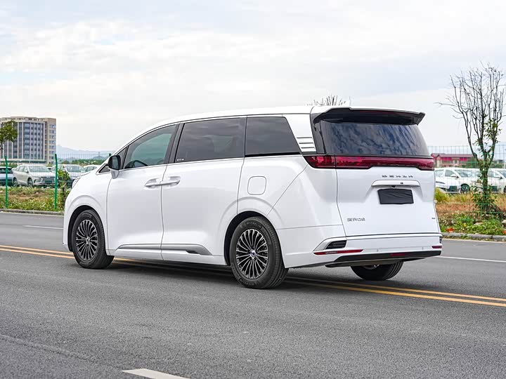 Фото 5 - Denza D9