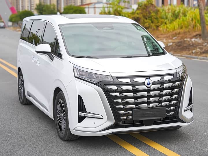 Фото 9 - Denza D9