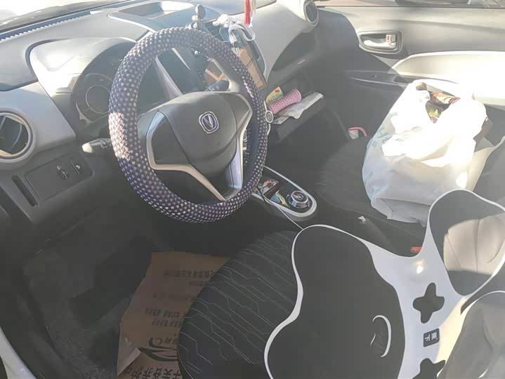 Фото 9 - Changan BenBen E-Star