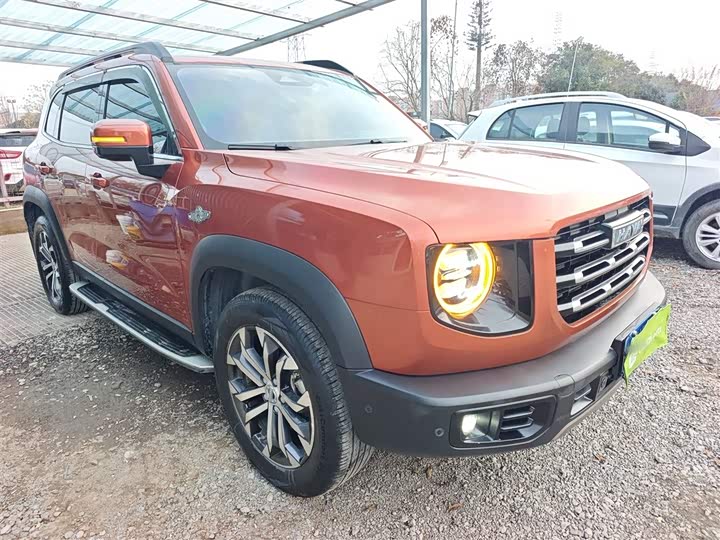 Фото 4 - Haval Dargo