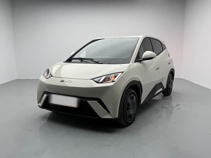 Фото 1 - BYD Seagull