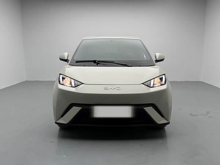 Фото 2 - BYD Seagull