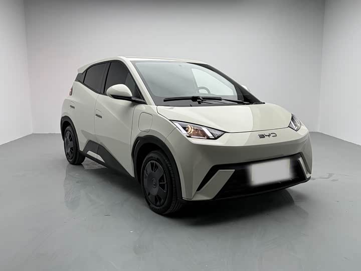 Фото 3 - BYD Seagull