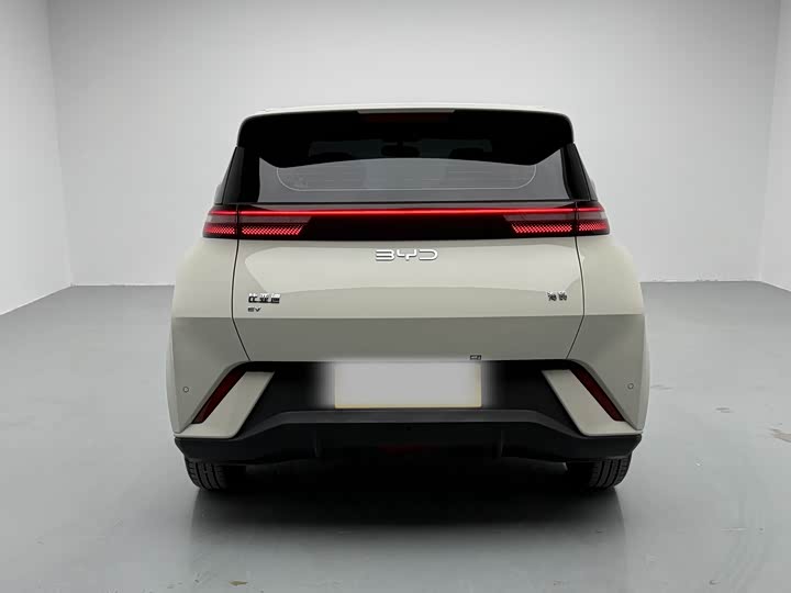 Фото 5 - BYD Seagull