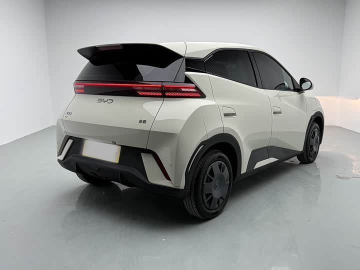 Фото 6 - BYD Seagull