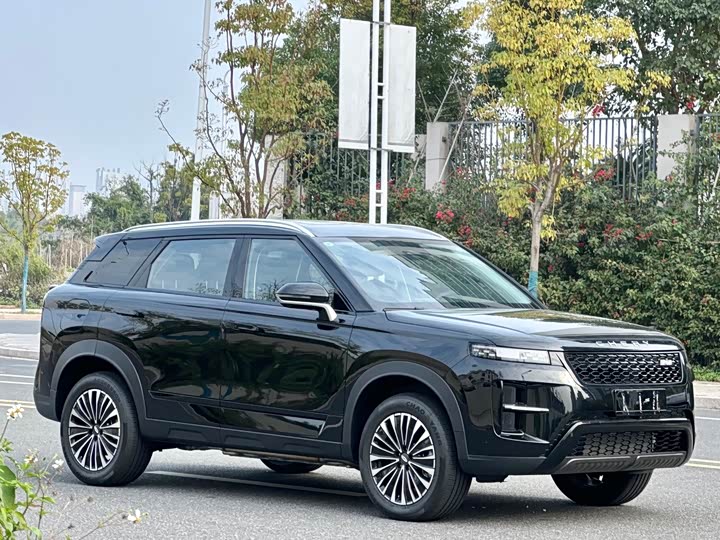 Фото 3 - Chery Tiggo 7 C-DM