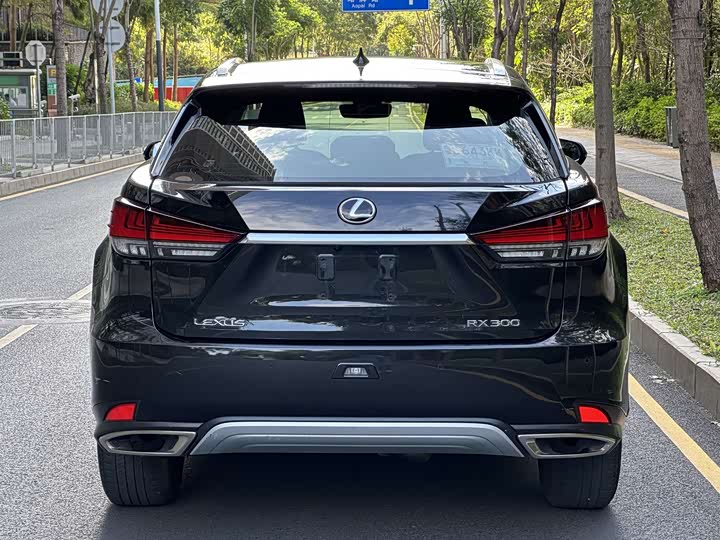 Фото 8 - Lexus RX