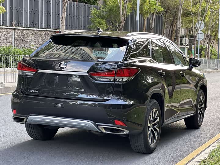 Фото 9 - Lexus RX