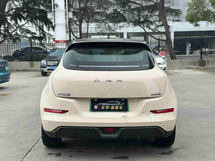 Фото 9 - Ora Good Cat (03)