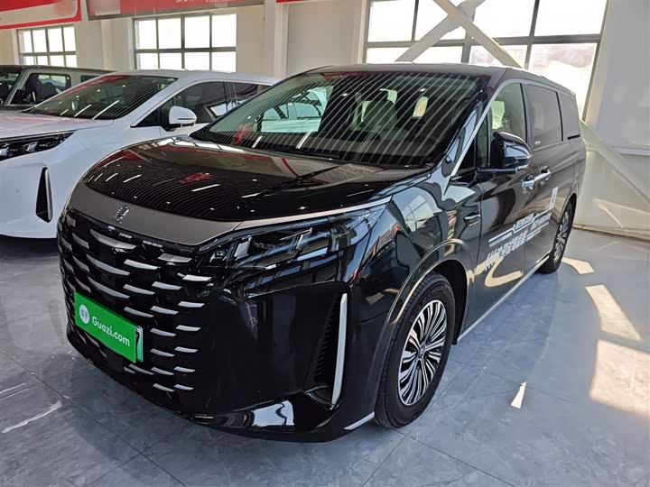 Фото 2 - BYD Xia