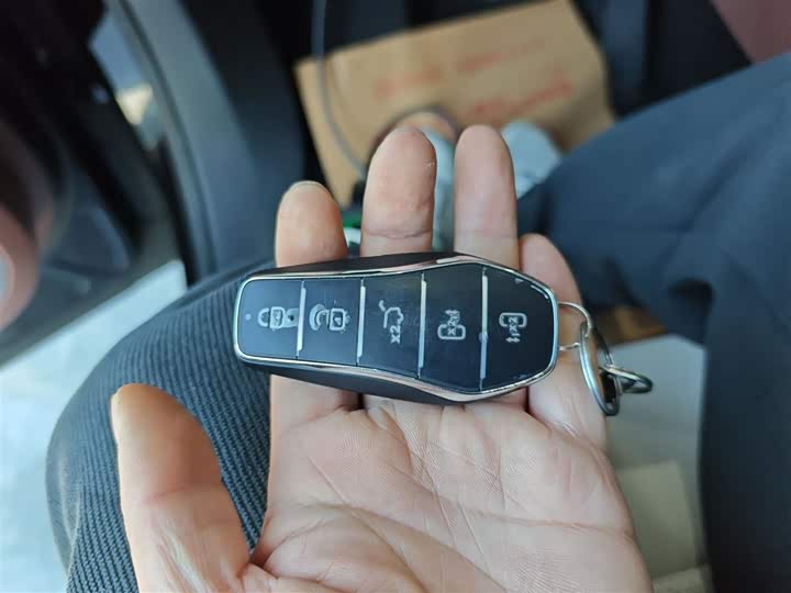 Фото 9 - BYD Xia