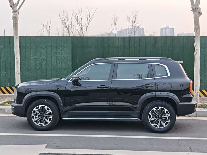 Фото 2 - Haval Dargo