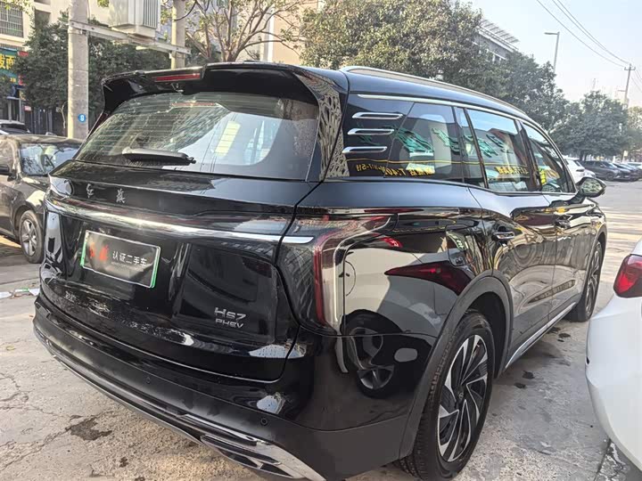 Фото 5 - Hongqi HS7 Hybrid