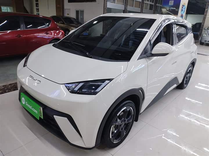 Фото 2 - BYD Seagull